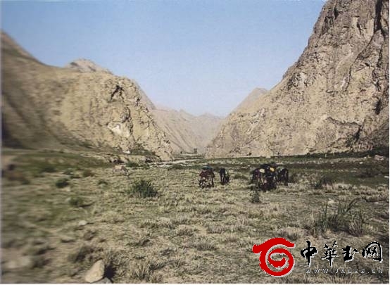 溯本求源——探秘新疆和田玉最大的四个矿口！